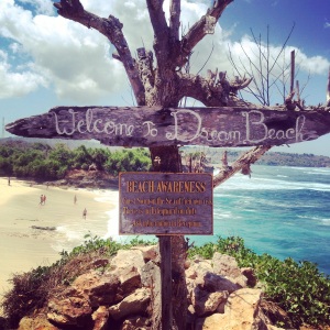 NUSA LEMBONGAN: THE COLOMBIA OF BALI, FIND HIDDEN GEMS, THINGS TO DO, PLACES TO SEE AND WHERE TO EAT! Want to read more travel adventures, follow me on my travelblog www.littlebrookroad.com #HeHoLetsGo #wanderlust #travelblogger #blogger #traveler #backpacker #vacationtips #traveltips #sightseeing #mustdo #mustsee #traveltheworld #travelgram #traveling #traveldiaries #travelgram #travelpics #traveladdict #Backpack #adventure #ttot #hiddengem #discovery #journey @littlebrookroad #indonesia #bali #nusalembongan